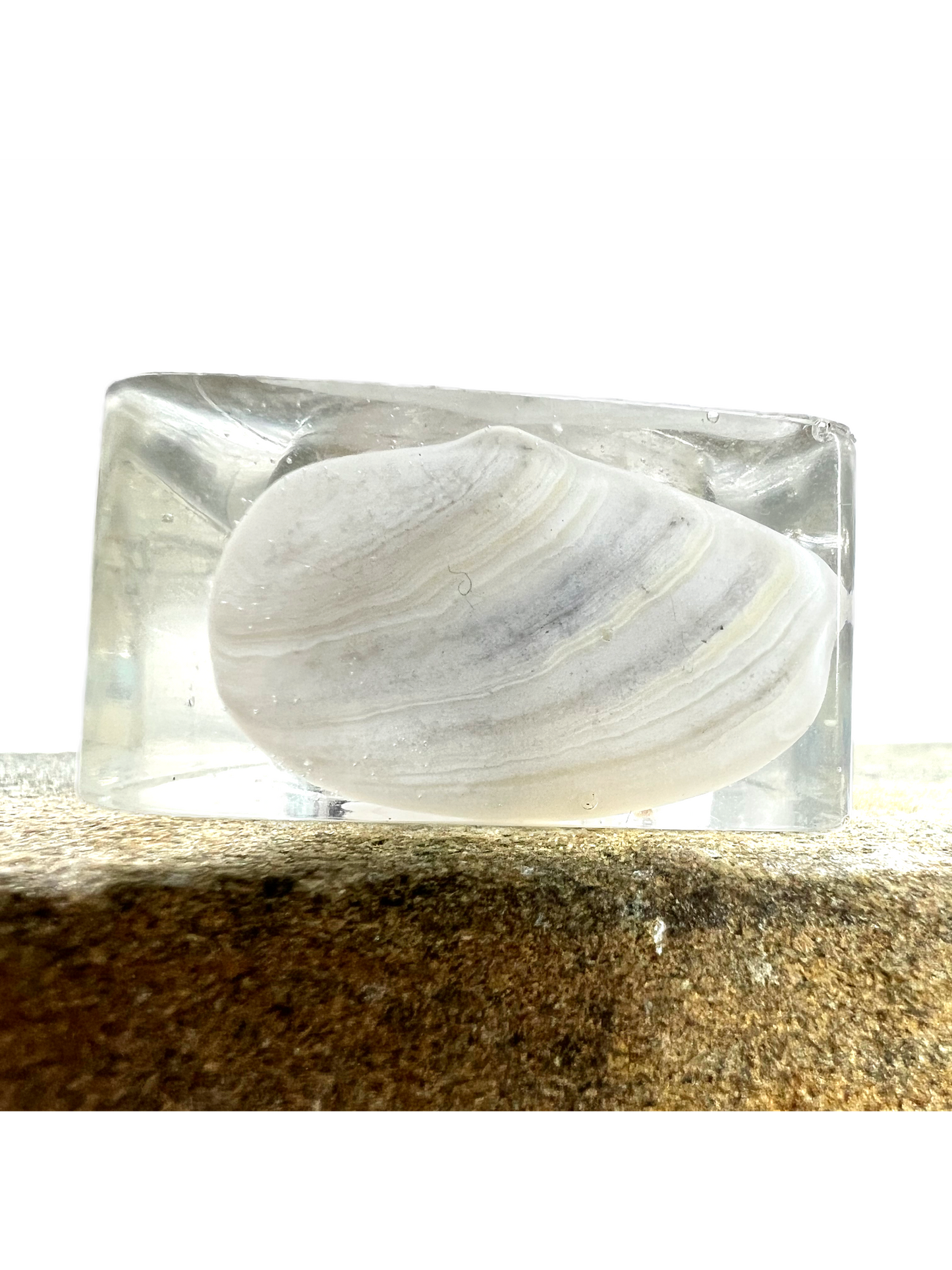 Brewster Flats- Size 9