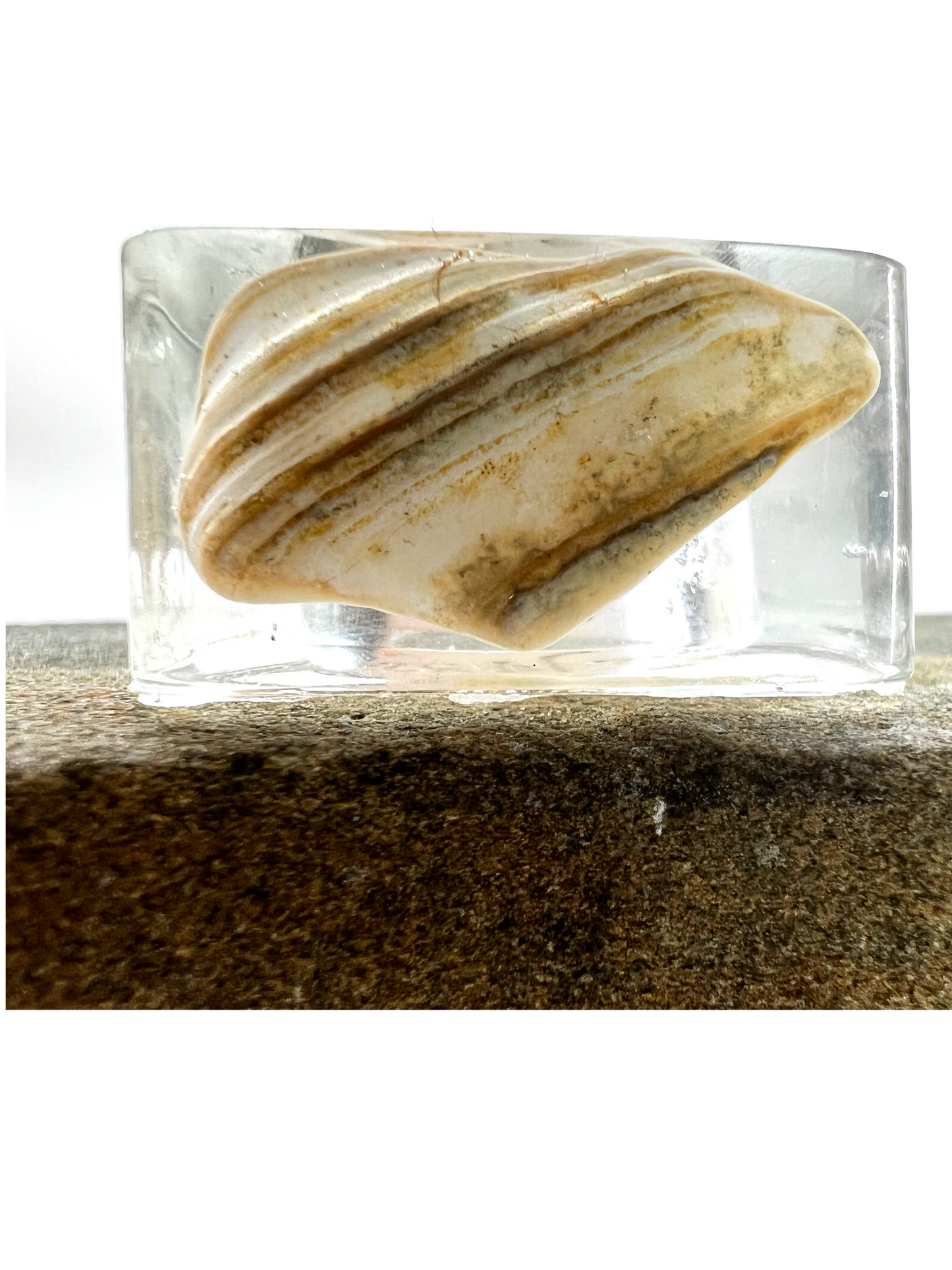 Brewster Flats- Size 9