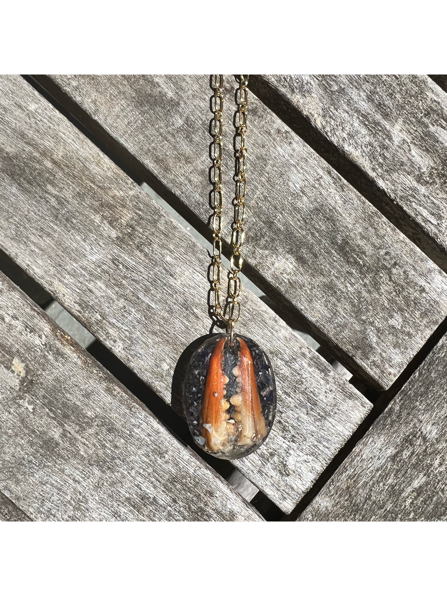 BOURNE BRIDGE NECKLACE- Crab & Blue Mussel