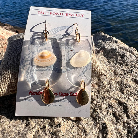 FORESTDALE EARRING- Clam Shell